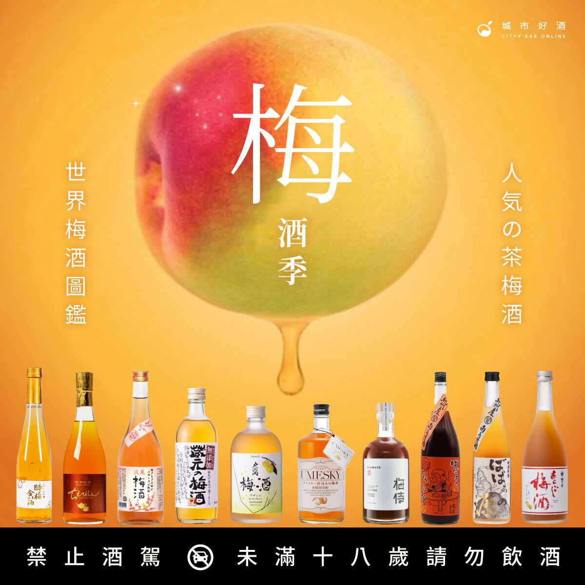 2025 梅酒推薦