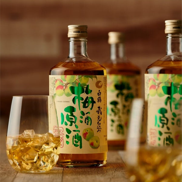 白鶴梅酒好喝嗎？白鶴梅酒價格、喝法總整理