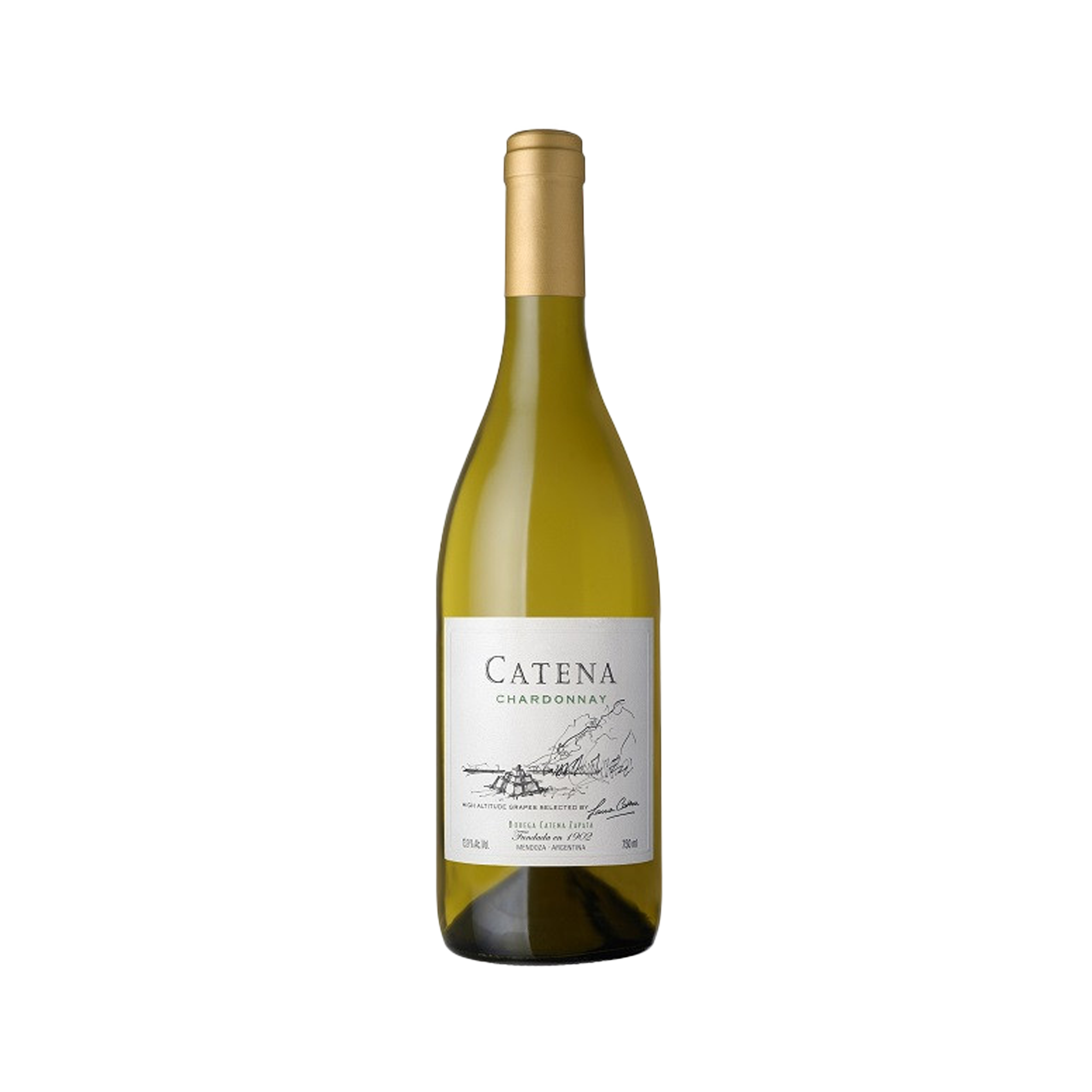 卡帝娜Catena 2021 夏多內白酒 | catena_chardonnay